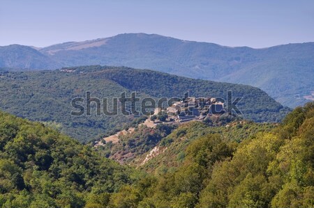 castle Termes in France Stock photo © LianeM
