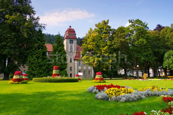 Rossz gyógyfürdő völgy Lengyelország kert egészség Stock fotó © LianeM