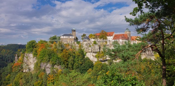 Castel copac pădure perete peisaj biserică Imagine de stoc © LianeM