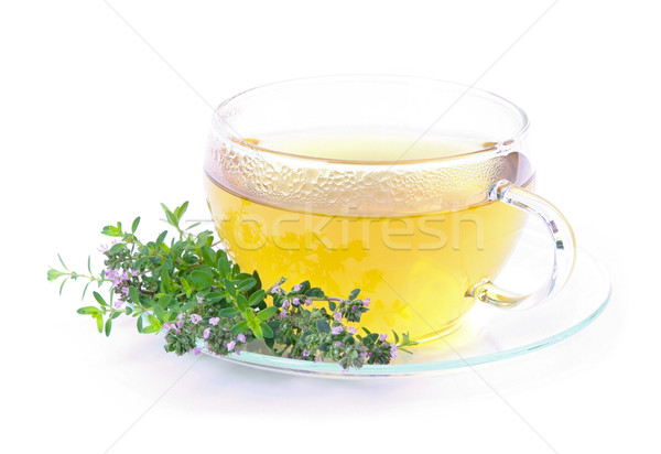 tea thymus 04 Stock photo © LianeM