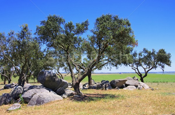 Megalith and Holly Oak  Stock photo © LianeM