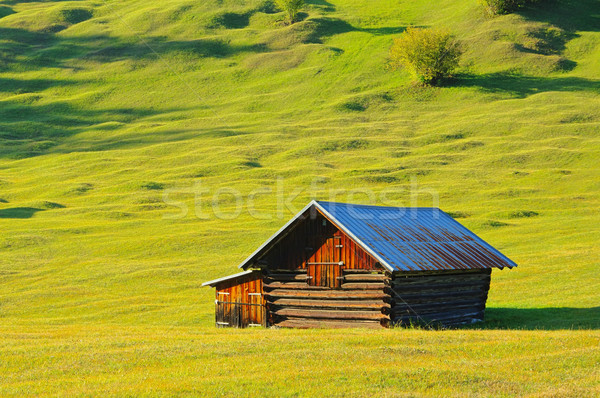 chalet 21 Stock photo © LianeM