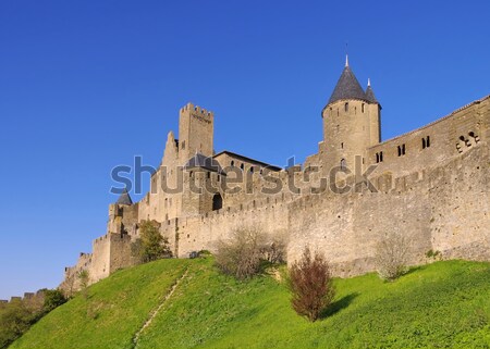 Castle of Carcassonne, France Stock photo © LianeM