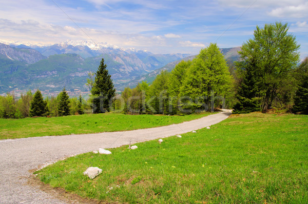 Monte Baldo 04 Stock photo © LianeM
