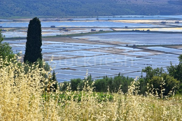 Piran Saline  Stock photo © LianeM