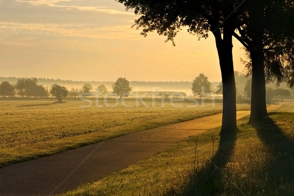 morning fog in a rular area Stock photo © LianeM