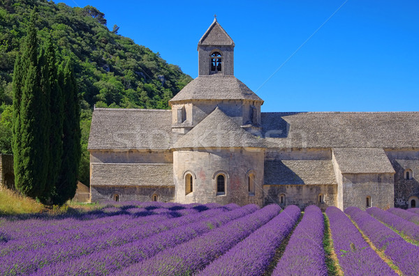 Foto stock: Natureza · campo · igreja · arquitetura · europa · religião
