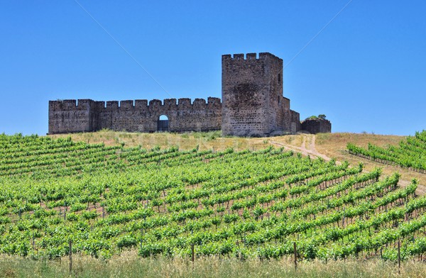 Evora Castelo de Valongo  Stock photo © LianeM