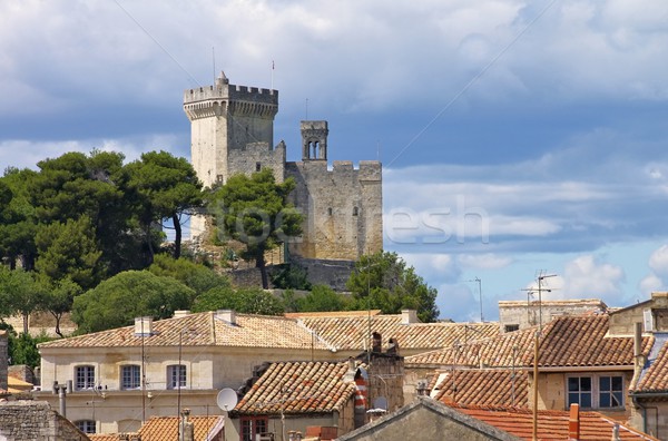 Beaucaire castle 03 Stock photo © LianeM