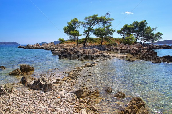 Dubrovnik plaży wody drzewo górskich rock Zdjęcia stock © LianeM