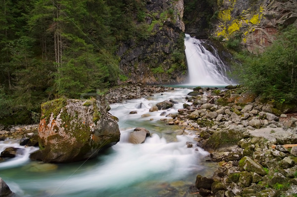 Zdjęcia stock: Wodospad · alpy · rock · rzeki · Europie · dolinie