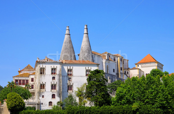 Sintra Palacio Nacional de Sintra 01 Stock photo © LianeM
