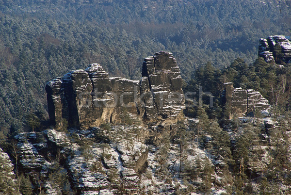 mountain Lokomotive in winter 01 Stock photo © LianeM