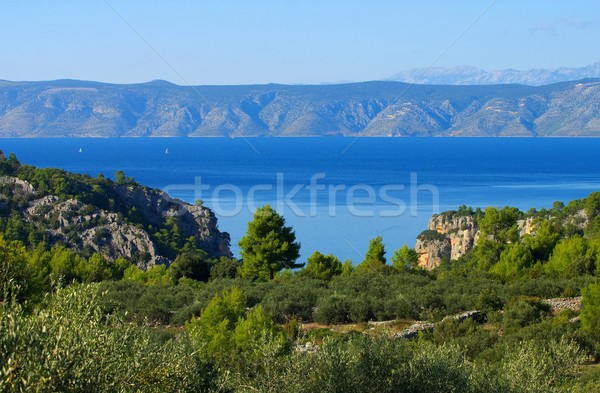 Hvar coast  Stock photo © LianeM