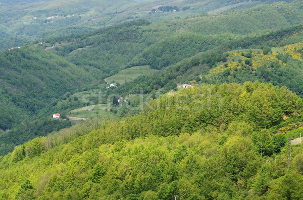 Stock photo: Ligurian Apennines 