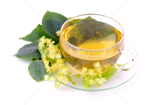 tea from lime blossom 01 Stock photo © LianeM