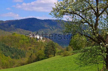 Oberranna castle  Stock photo © LianeM