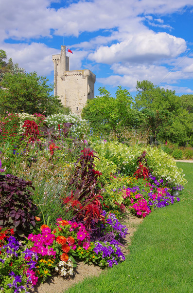 Tour bel hemel bloem zomer kasteel Stockfoto © LianeM