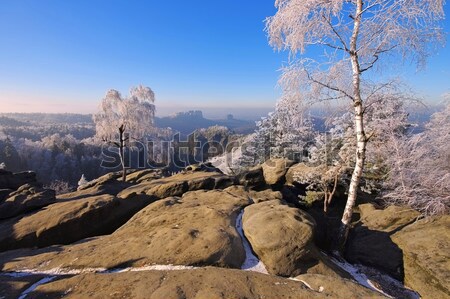 Stock fotó: Homokkő · hegyek · tél · erdő · tájkép · hegy
