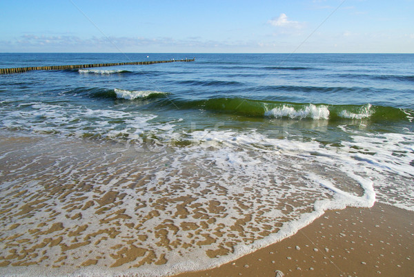 Baltic Sea beach  Stock photo © LianeM