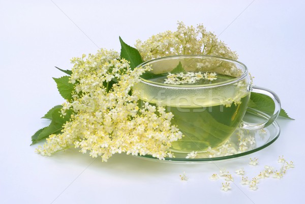 Chá mais velho flor vidro fundo verde Foto stock © LianeM