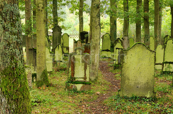 Friedhof Baum Zeichen Tod Stein Geschichte Stock foto © LianeM