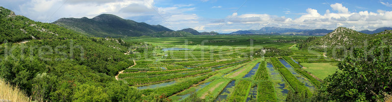 Delta Wasser Berg Fluss Wolke Cash Stock foto © LianeM