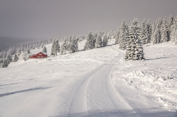 Riese Berge Winter Natur Berg weiß Stock foto © LianeM