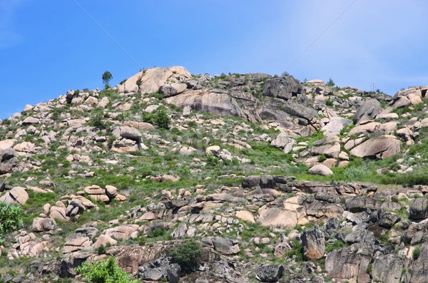 Serra da Estrela  Stock photo © LianeM