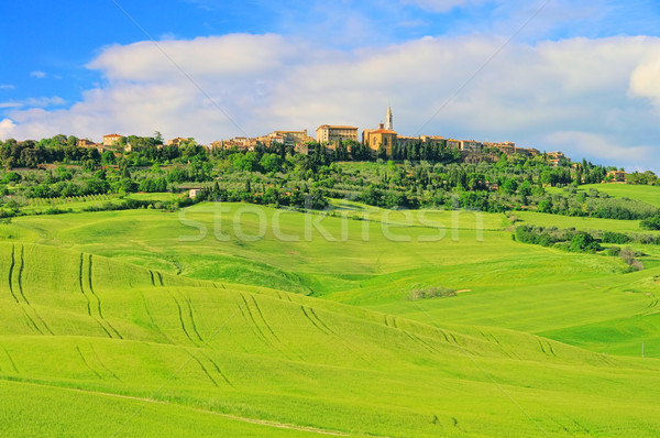 [[stock_photo]]: 16 · ville · nature · paysage · domaine · vert