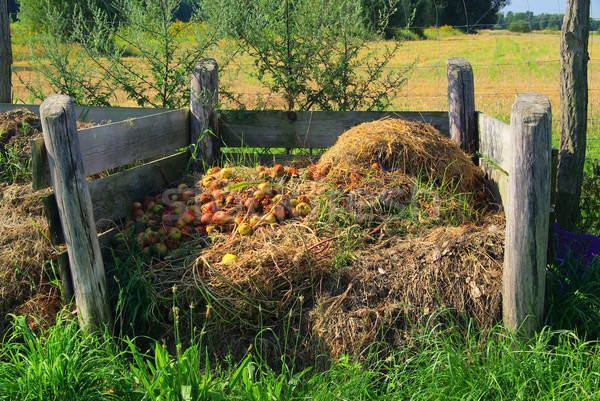 compost pile 05 Stock photo © LianeM