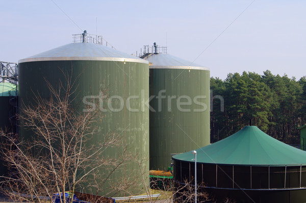 Biogáz növény gazdálkodás Stock fotó © LianeM
