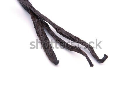 Stock photo: vanilla pod 06