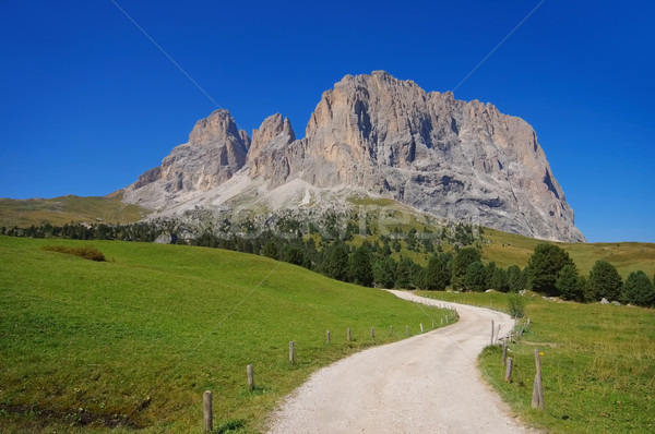 mountains Langkofel in Dolomites Stock photo © LianeM