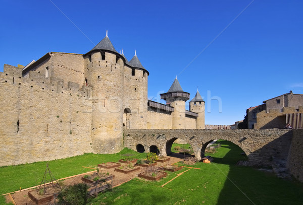 Castle of Carcassonne, France Stock photo © LianeM