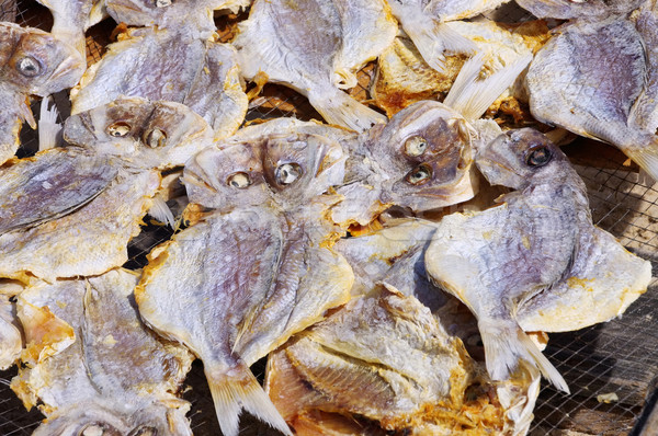 Stockfish 04 Stock photo © LianeM