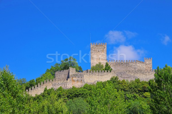 Leiria castle 02 Stock photo © LianeM