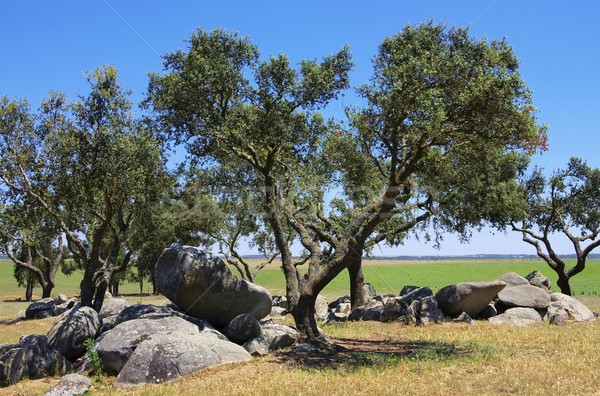 Megalith and Holly Oak 01 Stock photo © LianeM