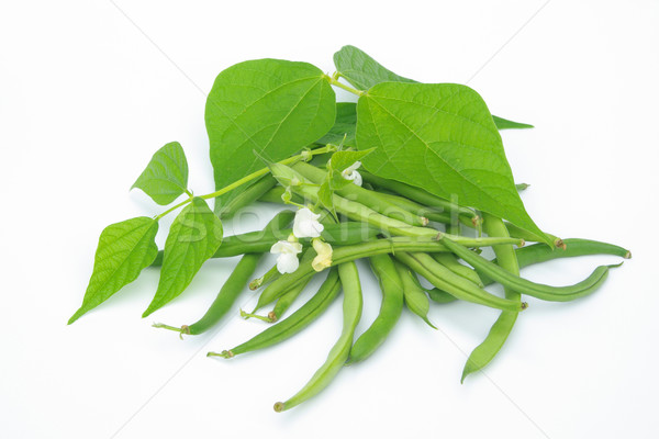 Bohnen freigestellt - beans isolated 02 Stock photo © LianeM