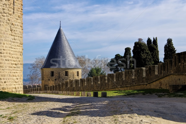 Castle of Carcassonne, France Stock photo © LianeM