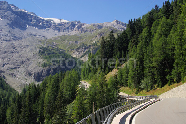 Stelvio Pass 06 Stock photo © LianeM