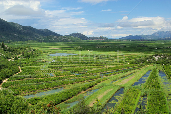 Foto stock: Delta · 22 · água · montanha · rio · nuvem