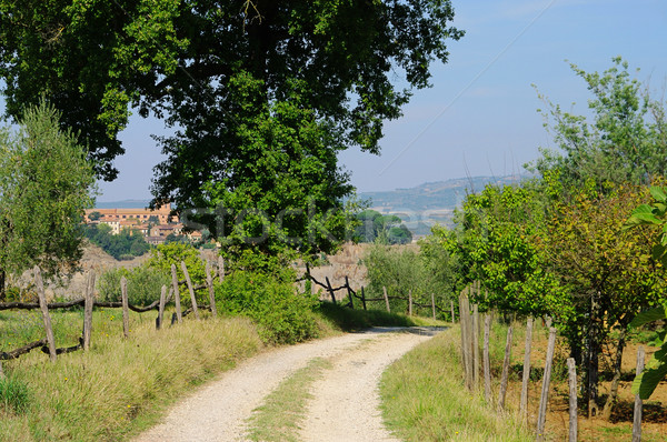 Orvieto track 01 Stock photo © LianeM