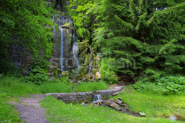 Koenigshuetter Waterfall in Harz Stock photo © LianeM
