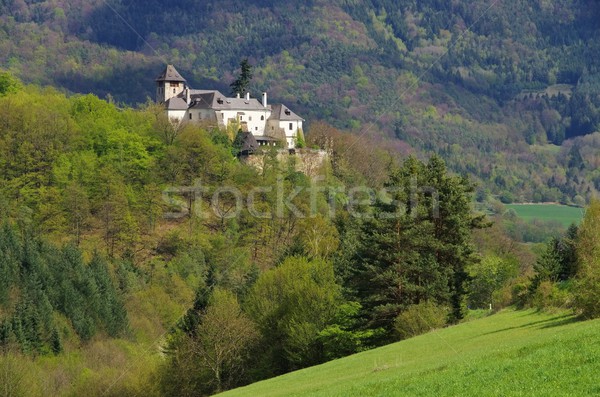 Oberranna castle  Stock photo © LianeM