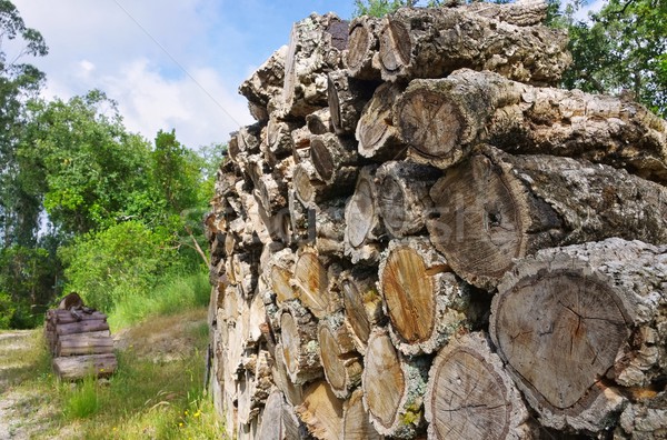 stack of wood from cork oak 06 Stock photo © LianeM