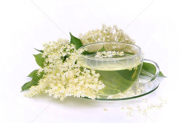 tea elder flower 05 Stock photo © LianeM