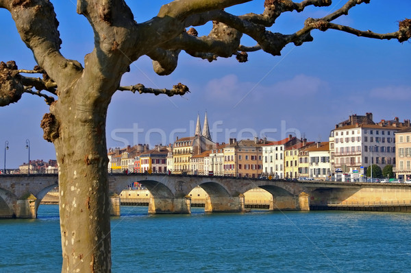 the town Macon in France Stock photo © LianeM