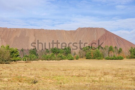 Zielitz potash salt dump 04 Stock photo © LianeM