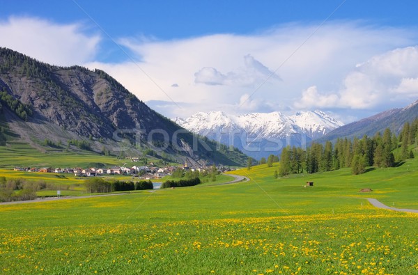 Engadin near St. Moritz  Stock photo © LianeM